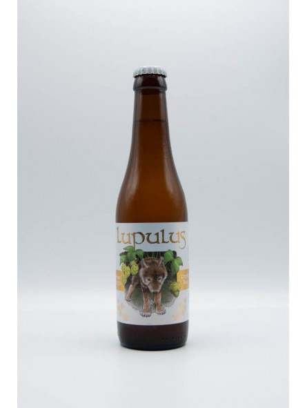 Lupulus blonde cl.033